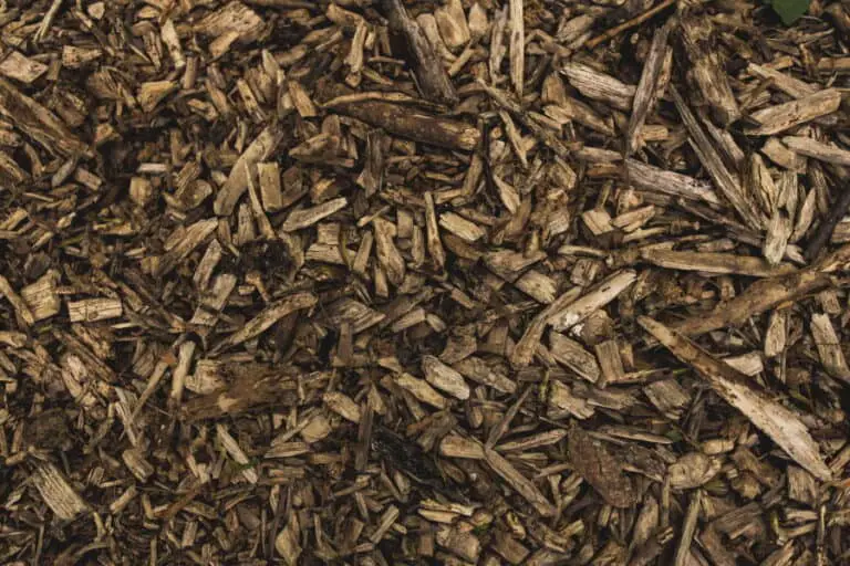 How To Keep Mulch From Blowing Away? Tips For Windy Areas