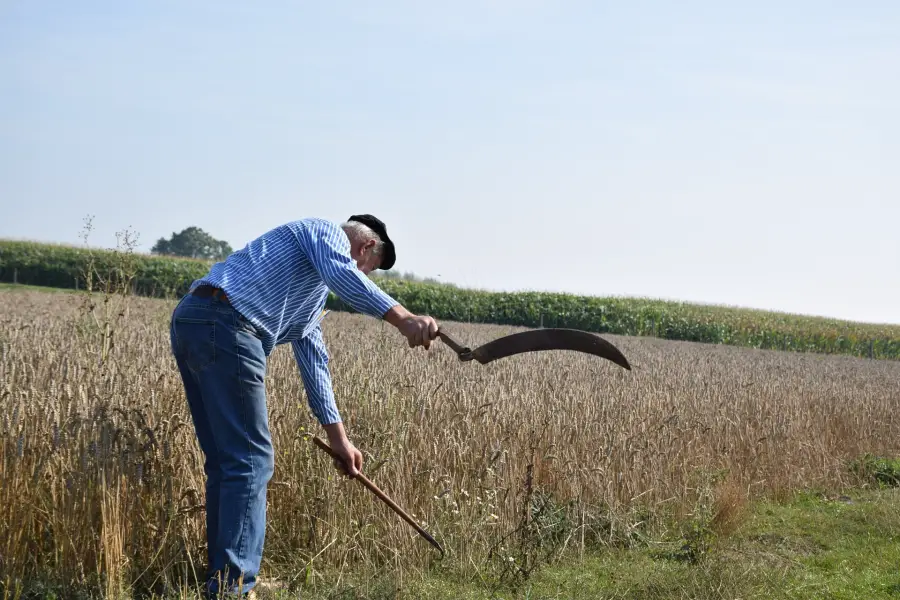 A Manual Weed Wacker: Is There A Such Thing? – LawnCareGrandpa.com