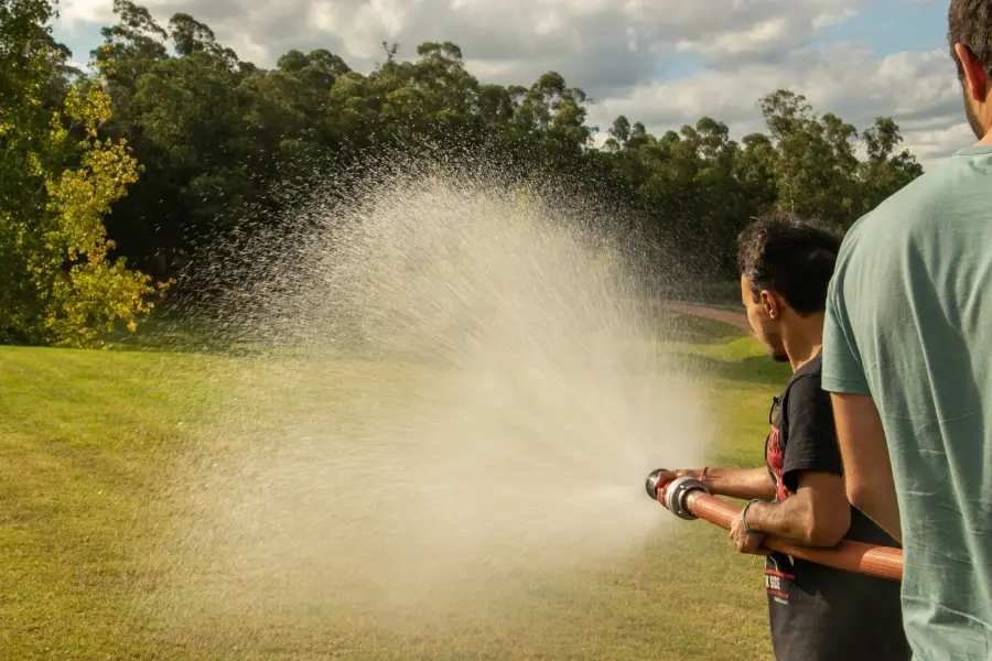 How Long After Weed And Feed Should I Mow Or Water?